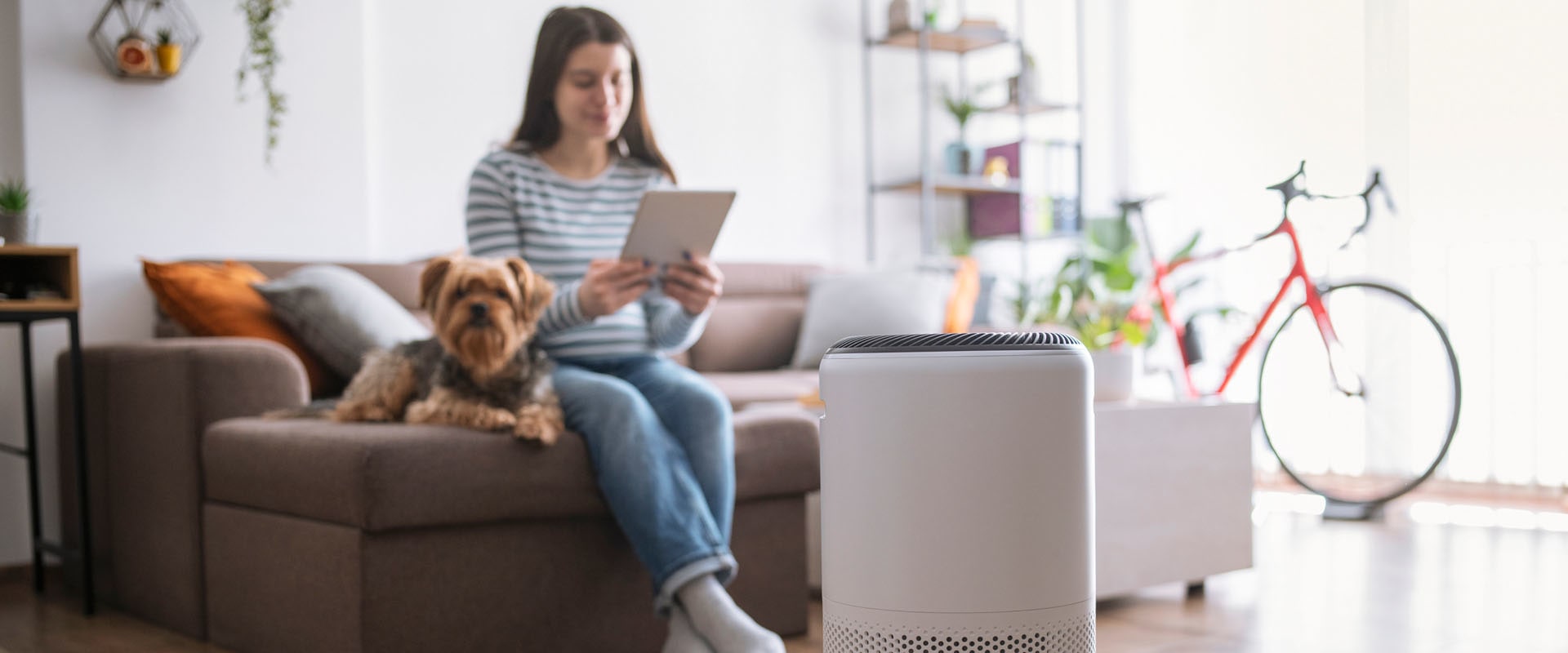The Best Air Filter for Allergies A Comprehensive Guide