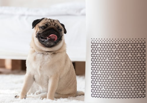 Do Air Filters Matter? The Truth Behind Brand and Generic Filters